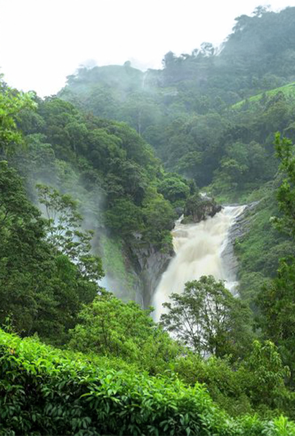 Aattukaad Waterfall