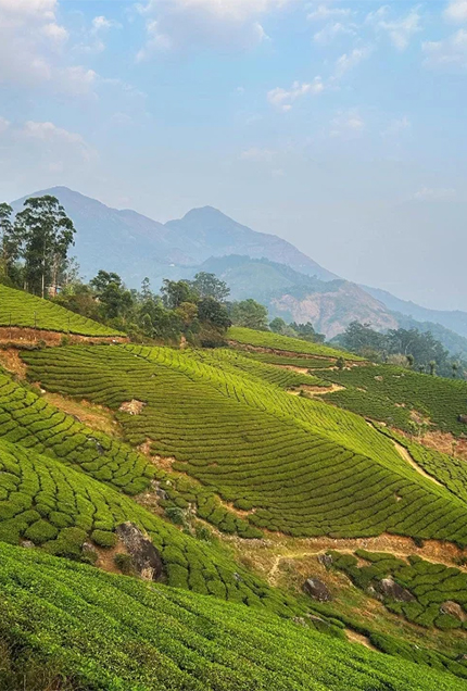 Pothemaid View Point